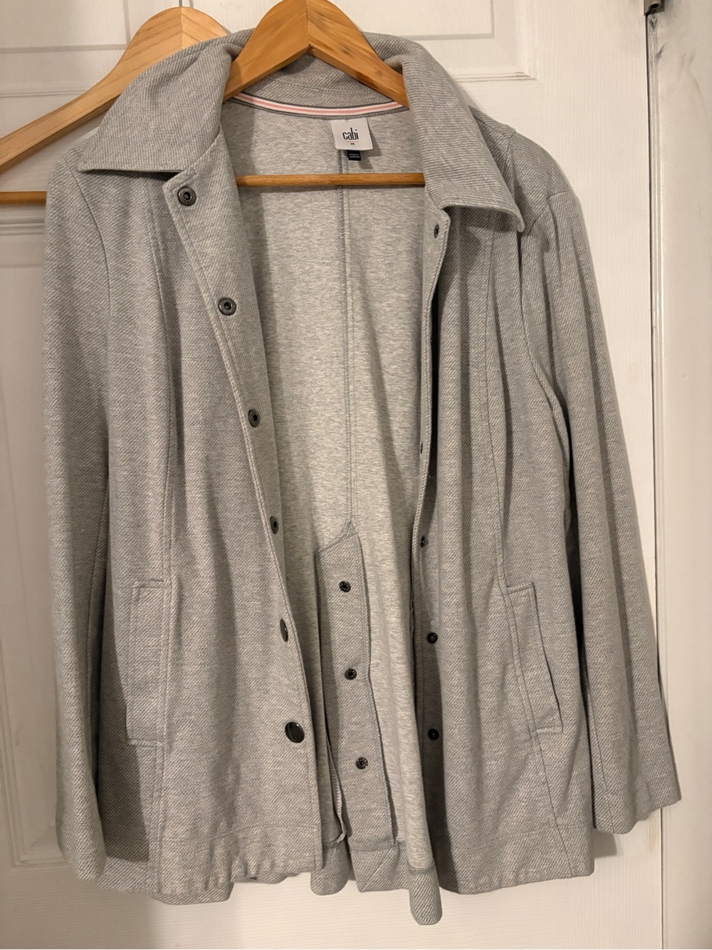 Light Gray Button-Front Jacket